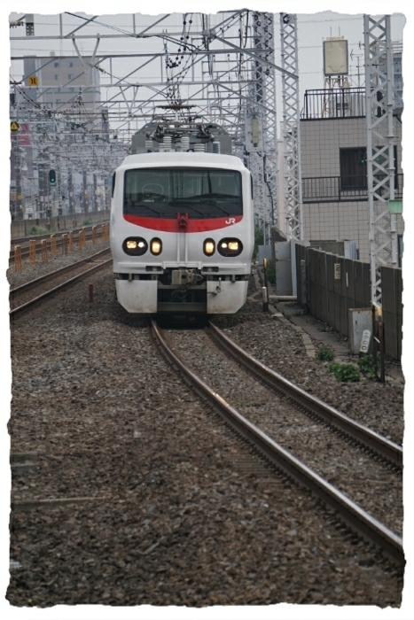 d0341483_20565417.jpg