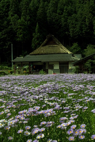 久多の里_e0051888_01365329.jpg