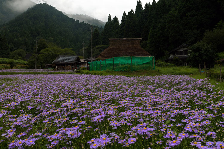 久多の里_e0051888_01365561.jpg