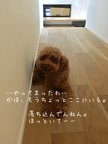 失敗_b0370192_09171800.jpg