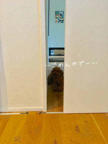 失敗_b0370192_09171894.jpg