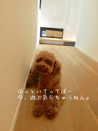 失敗_b0370192_09171931.jpg