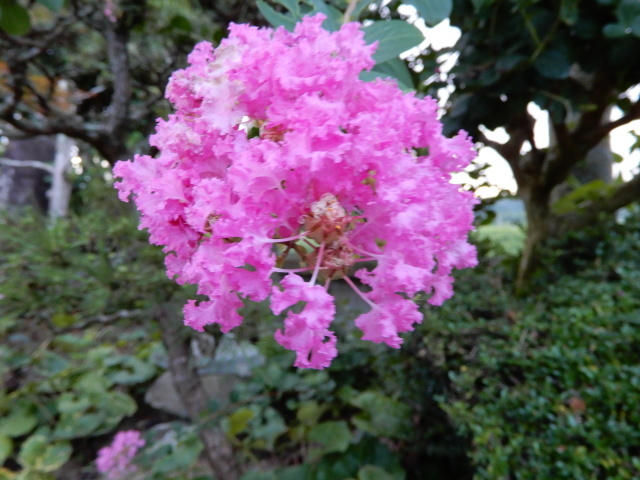 c0361298_21224226.jpg
