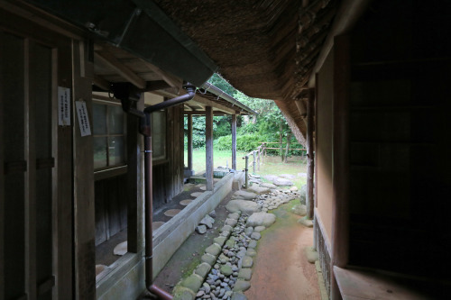 e0054299_13451702.jpg