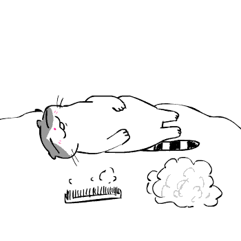 c0011300_22264073.gif