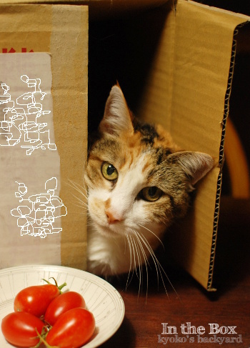 お父さん、見てる?_b0253205_06531693.jpg