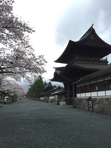 阿蘇神社門前町水基めぐり（阿蘇市一の宮町）_f0364707_10394669.jpg