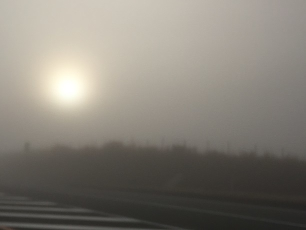 f0364707_21461420.jpg