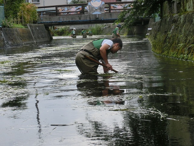 多くの皆さんのボランティアで水位低下と氾濫回避　田宿川の川そうじ_f0141310_06474996.jpg