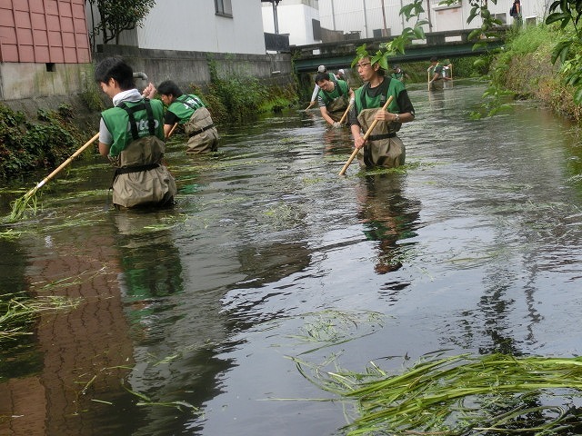 多くの皆さんのボランティアで水位低下と氾濫回避　田宿川の川そうじ_f0141310_06475866.jpg