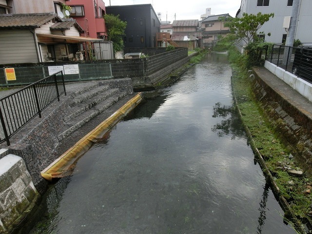 多くの皆さんのボランティアで水位低下と氾濫回避　田宿川の川そうじ_f0141310_06485858.jpg