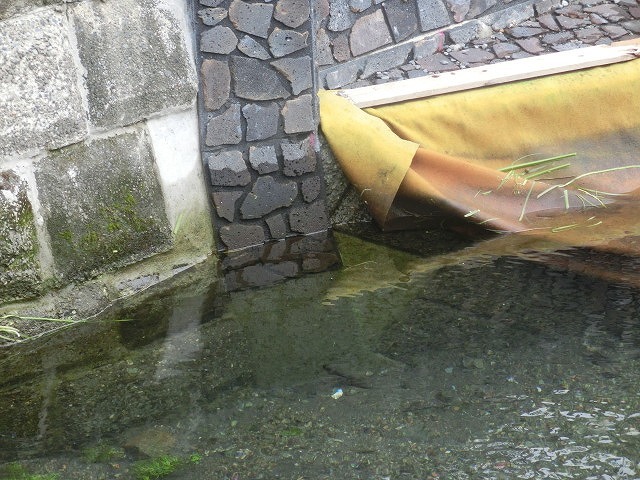 多くの皆さんのボランティアで水位低下と氾濫回避　田宿川の川そうじ_f0141310_06490910.jpg