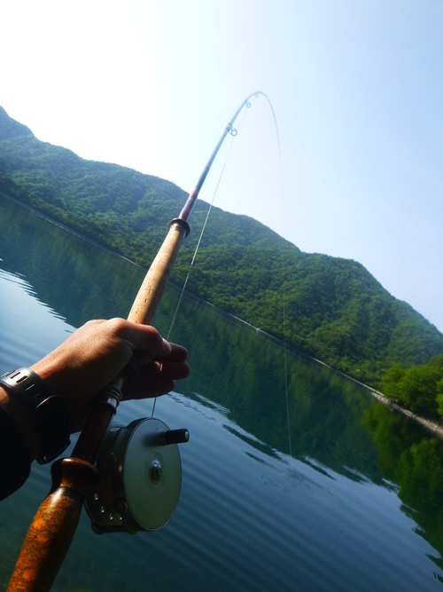 2017  中禅寺湖釣行！　後半戦_a0236914_1618553.jpg