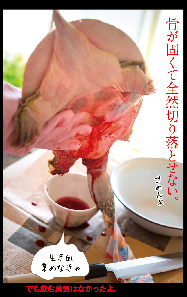 すっぽんを捌いて食べる_a0358016_20550571.jpg