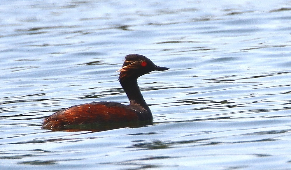 f0364220_08424931.jpg