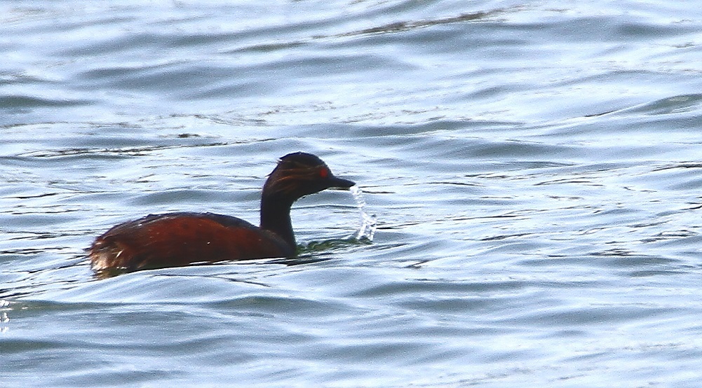 f0364220_08434250.jpg