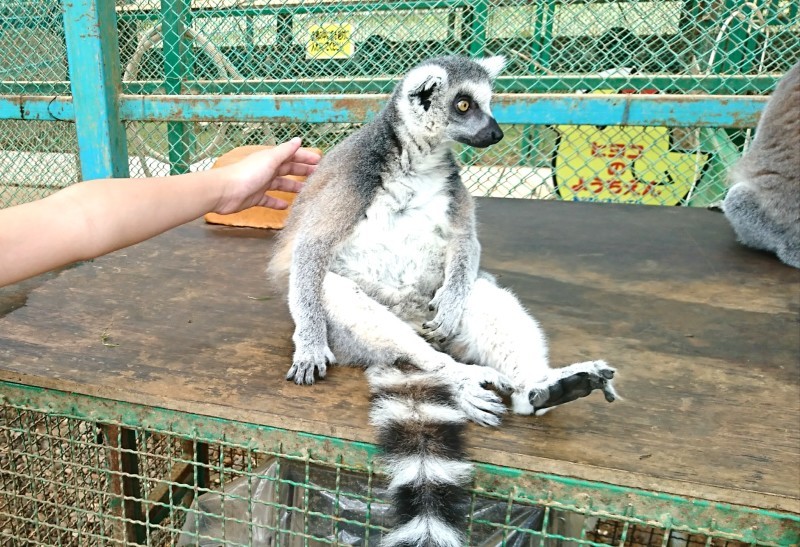 東北サファリパークへお出かけ♪_d0355921_23161964.jpg