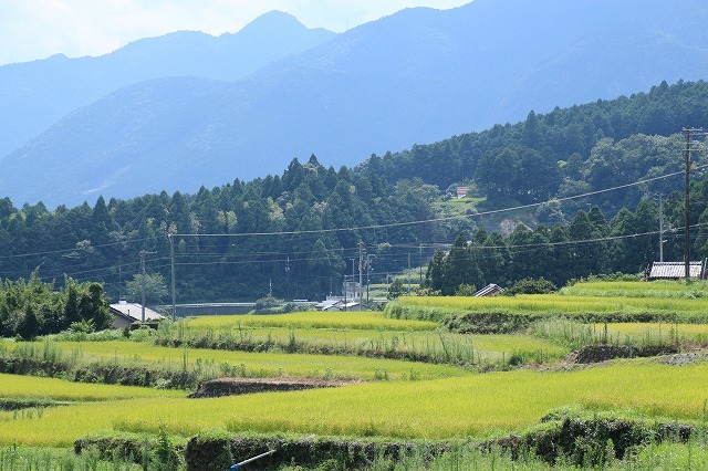 阪本の里山原風景（その2）_e0321325_17211837.jpg