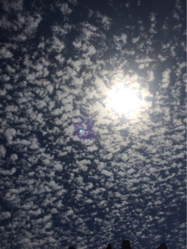 f0327534_03472963.jpg