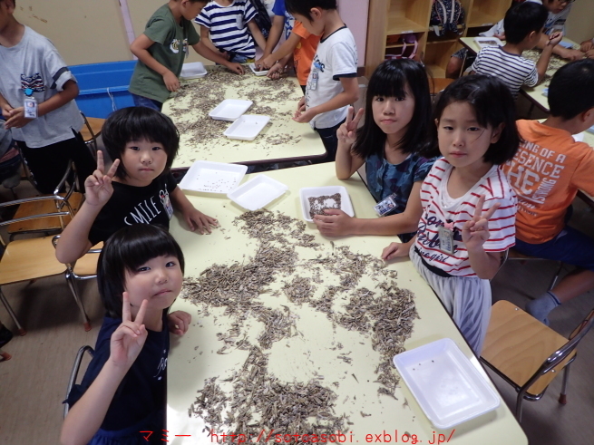 d0105749_19591262.jpg