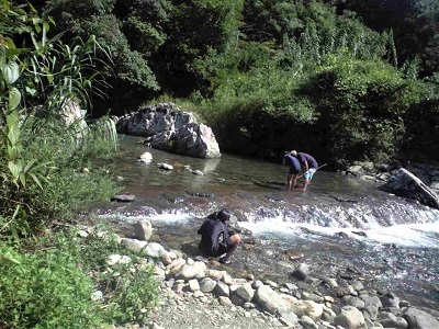 f0201557_20331756.jpg