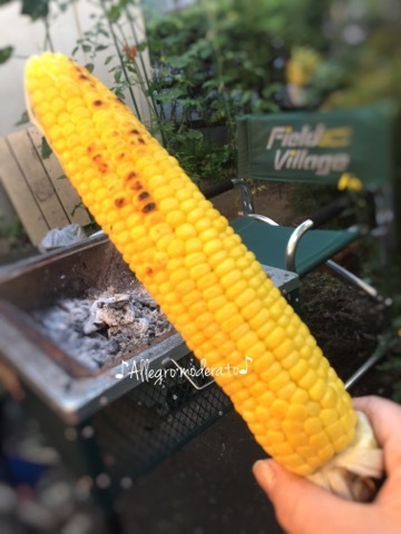 d0240961_22551988.jpeg