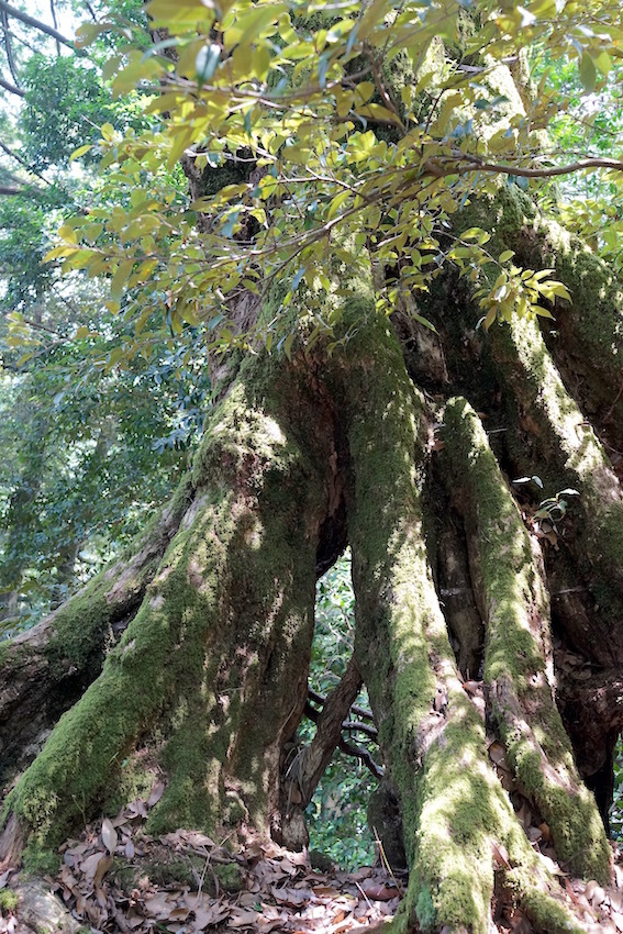 f0134963_22470830.jpg