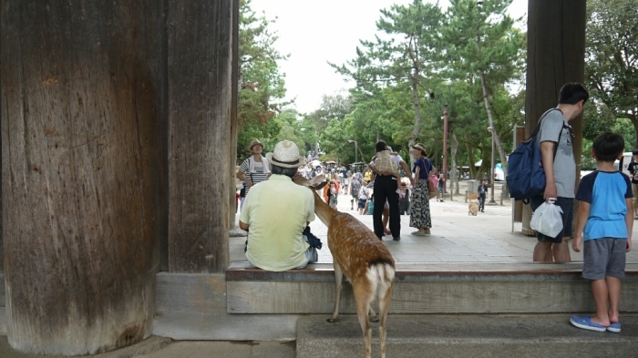 奈良公園散策。。。_c0220065_00142167.jpg