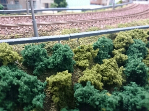f0131165_22391822.jpg