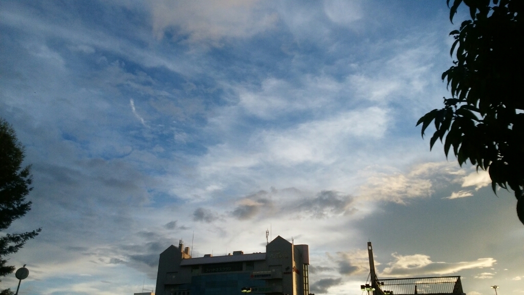 a0314368_23420394.jpg
