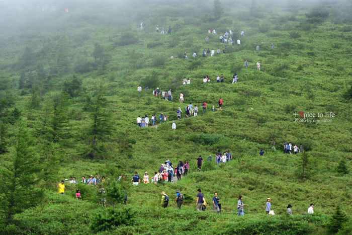 草津白根山散策_f0326278_23232512.jpg