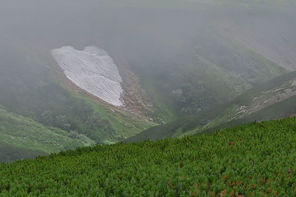 立山･五色ヶ原［2］_f0234982_22163561.jpg