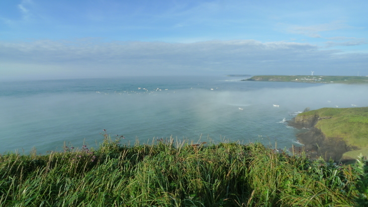 c0212083_17003142.jpg