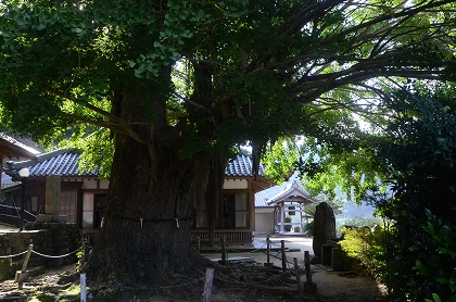 c0229483_13244667.jpg