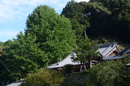 c0229483_139387.jpg