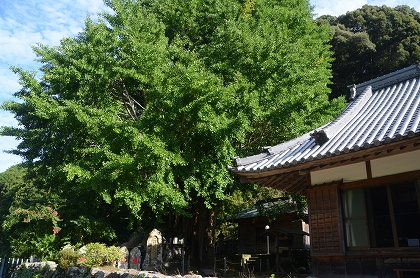 c0229483_1395641.jpg