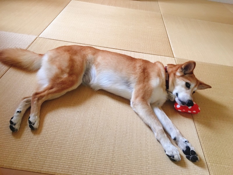 f0231084_17032041.jpeg