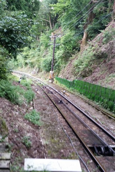 c0013687_8532950.jpg