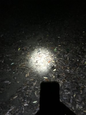 2017年 俺チャレ Night Trail_f0220089_12494608.jpg