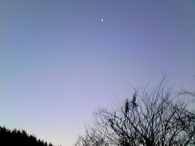 寒暖_a0334793_14365482.jpg