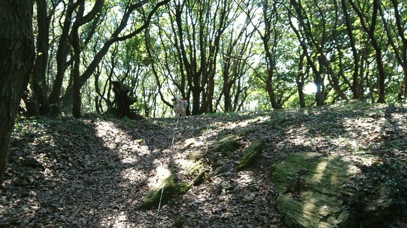 d0356213_13475166.jpg