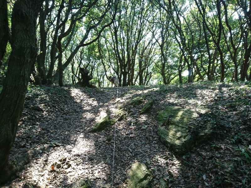 d0356213_13482366.jpg
