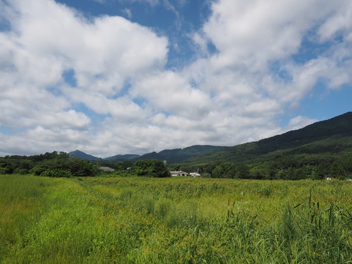 阿弥陀山＆久保アグリファーム_c0116915_2350939.jpg