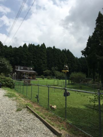 c0114121_23312841.jpg