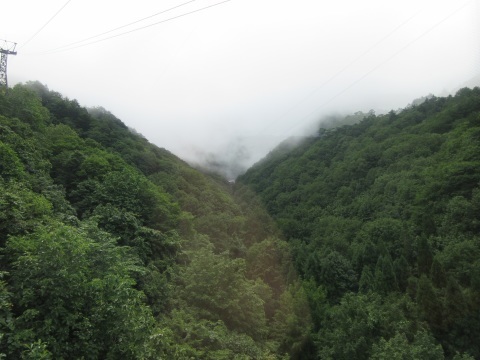 f0149422_19415107.jpg