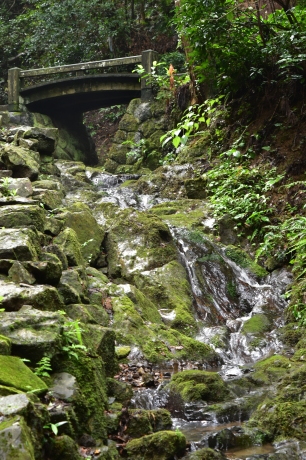 f0362524_18283429.jpg