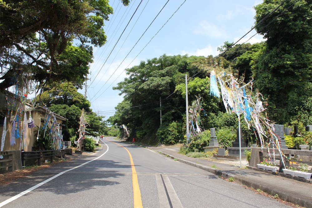 2017 屋久島　旅の記録その6_d0163527_23152746.jpg