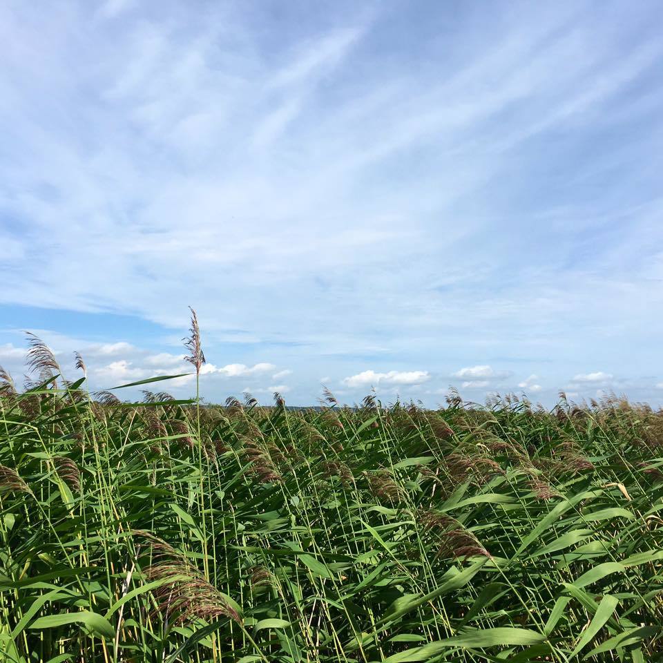 FROM北海道 水の小旅行_c0102228_12115928.jpg