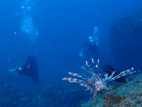 d0164831_16054235.jpg