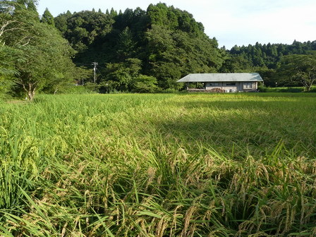 a0123836_17491157.jpg